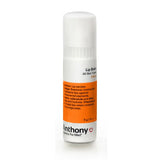 Anthony Logistics Citrus Lip Balm